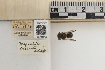 Media type: image;   Entomology 791060 Aspect: Labels